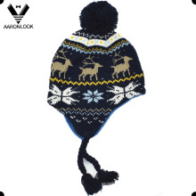 Зимняя мода жаккард детей Earflap Hat